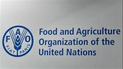  أسعار السلع الغذائية العالمية تبلغ 