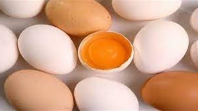 الخبراء يحذرون من تناول البيض النيء