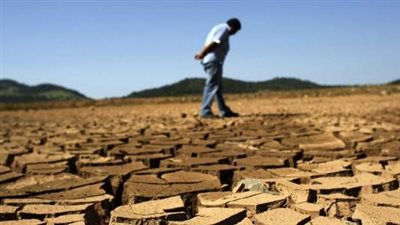 الجفاف يضرب محصول الحبوب في المغرب وفقدان 53% من الزراعات
