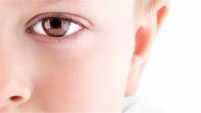 باحثون يكشفون عن مادة غذائية حلوة المذاق قد تحسّن الإدراك البصري