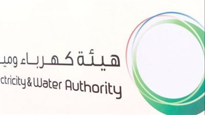 كيف أصبحت هيئة كهرباء ومياه دبي أكبر شركة مدرجة في السوق؟