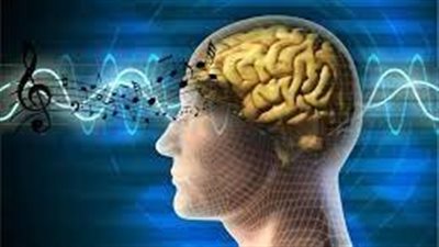 دراسة تقدم اتجاهات جديدة للنظر في كيفية عمل أدمغة المبدعين في المجال العلمي 