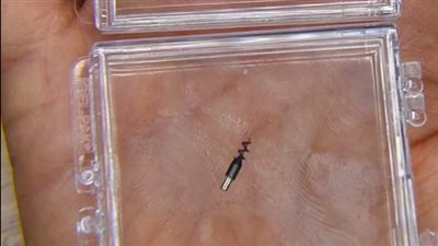  شركة أمريكية ناشئة في كاليفورنيا تطور روبوتات دقيقة الحجم (الأهداف)