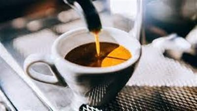 هل القهوة الصباحية تقود إلى تسريع انقراض الأنواع؟.. باحثون يُجيبون