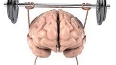 دراسة تكشف عن التمارين التي تحافظ على حجم الدماغ