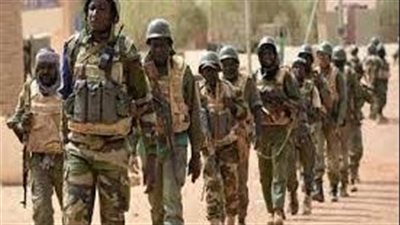 الجيش المالي يعلن أنه قضى على نحو 