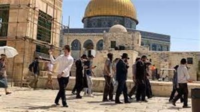 المغرب يدين 