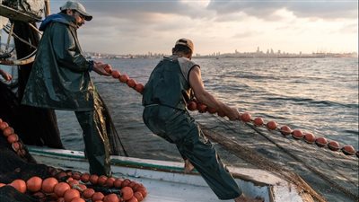 بسبب الأسعار المرتفعة.. مصايد الأسماك الألمانية في بحر الشمال وبحر البلطيق تتعرض لضغوط