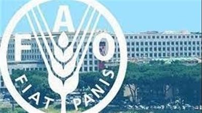  منظمة (ف أو ) تطالب بمزيد من المساعدة لقطاع الزراعة في أوكرانيا