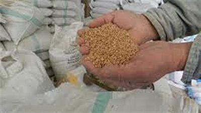  بيانات: ارتفاع أسعار القمح المستورد في كوريا الجنوبية في مارس إلى أعلى مستوى لها