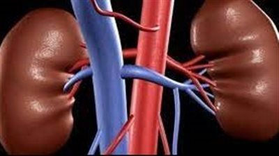  مجموعة من النصائح لمريض الكلى بشأن متى يجب التوقف عن الصيام