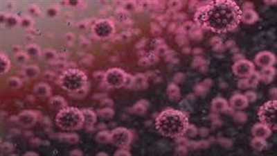  قريبًا.. نسخة أولية لمتحور 