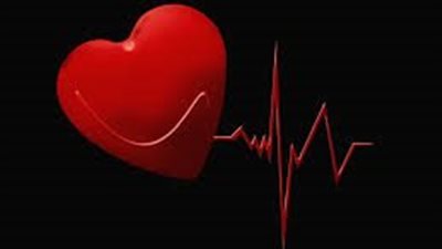 هل يتأثر معدل ضربات القلب بالشعور والنشاط البدني والأطعمة؟