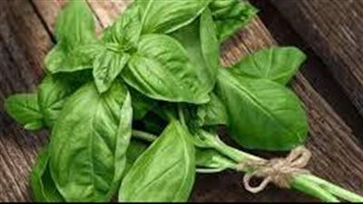 كيف يعود الريحان الملكي بالمنفعة في النظام الغذائي؟