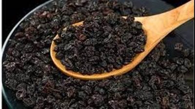 خبراء يكشفون أن تناول هذا الغذاء السحري يجعل رحلة الحمل سهلة