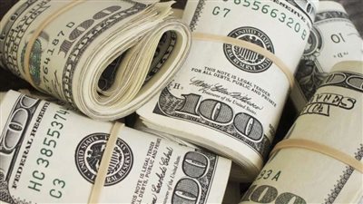 استقرار سعر الدولار في مصر اليوم السبت