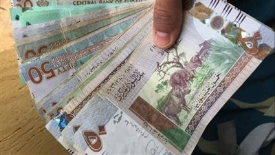 استقرار سعر الدولار في السودان خلال مستهل تعاملات اليوم السبت 