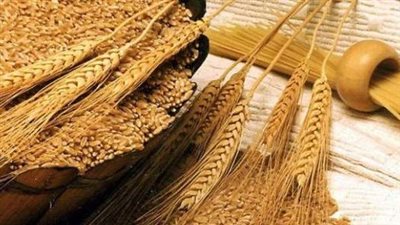  بيانات في كوريا الجنوبية تكشف أسعار واردات القمح في البلاد