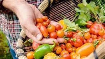 باحثون: الأمراض التي تنقلها الأغذية من تناول المنتجات الطازجة الملوثة أمر شائع 