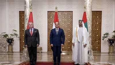 قرقاش: محمد بن زايد يرسخ التنسيق والتعاون العربي