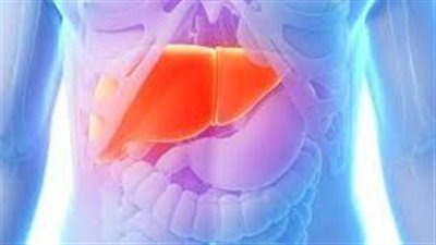  أربع علامات تشير إلى وجود مشكلات في الكبد