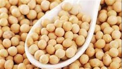 فول الصويا.. من الأغذية المثيرة للجدل 