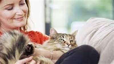 هل امتلاك حيوان أليف يقلل ضغط الدم؟.. دراسة تُجيب