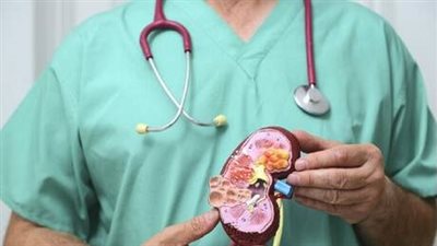 كيف تساعد على حماية الكلى والحفاظ عليهما بحالة جيدة