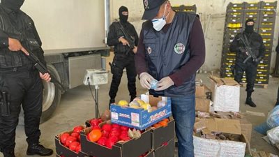 بمجسمات للفواكه.. المغرب يحبط تهريب أطنان من الحشيش