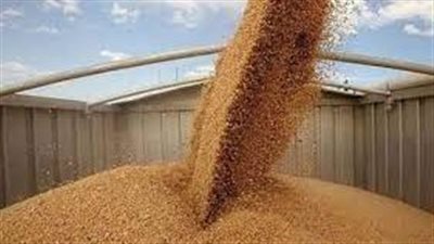 أوكرانيا: موسكو نهبت مئات آلاف الأطنان من الحبوب