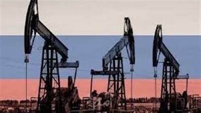  ألمانيا تؤكد دعمها لخطة فرض حظر على واردات النفط من روسيا