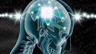 دراسة: الدماغ لديه 