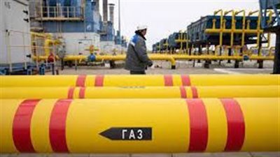 سيناتور روسي يعلق على رفض ألمانيا لتوريدات الغاز من روسيا 