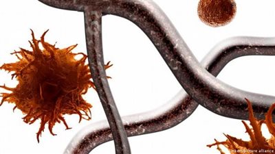  الخزعة السائلة.. اختبار يمكنه معرفة احتمال عودة السرطان