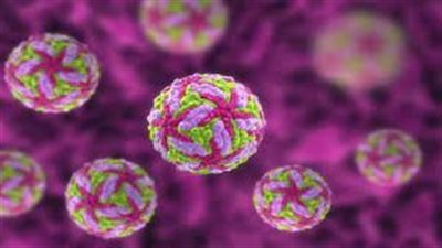 ما هي أنواع الفيروسات التي يمكن أن تنتقل من الحيوانات إلى البشر؟