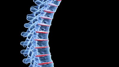 ما هي أسباب ألم أسفل الظهر في فصل الربيع؟