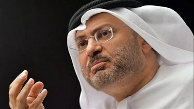 قرقاش يضع عدة حلول للوقاية من تداعيات الأزمات الكبرى التي اعتبر أن العالم يدفع ثمنها غاليا