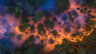 كراسنويارسك: الحرائق المنتشرة في المنطقة تسببت بمقتل خمسة أشخاص