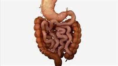  دراسة جديدة تقترح تفسيرًا لمتلازمة القولون العصبي يلقي اللوم على خلايا الأمعاء