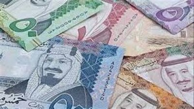 سعر الريال السعودي حسب موقع البنك المركزي المصري4.91 جنيه للشراء و4.94 جنيه للبيع