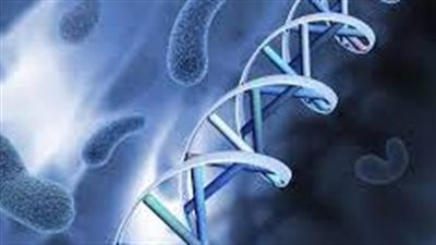  تحديد العوامل المسببة للتغييرات في الحمض النووي التي تساهم بشكل أكبر في نمو السرطان