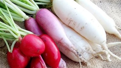 دراسات تكشف فوائد الفجل في عمل القلب والكبد والوقاية من السرطان.