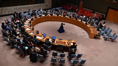 مجلس الأمن يدين بشدّة قتل الصحفية شيرين أبو عاقلة