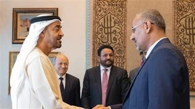 الزبيدي عن بن زايد: 