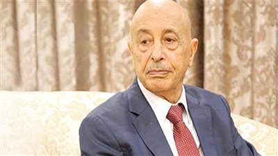 رئيس مجلس النواب الليبي يبحث مع وليامز تعديل النقاط الخلافية بمسودة الدستور