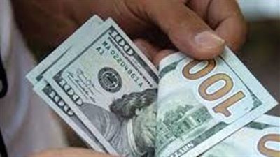 استقرار سعر الدولار في مصر صباح اليوم