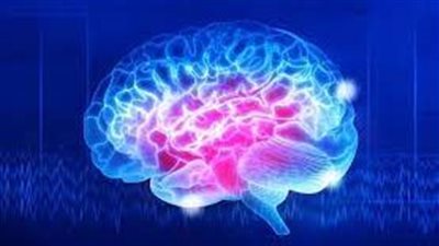 دراسة: الإجهاد المزمن يمكن أن يسبب مشاكل صحية كبيرة مثل أمراض القلب والسمنة والسكري