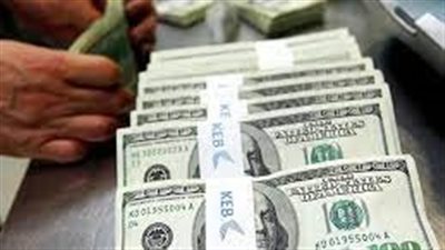 سعر الدولار في مصر وفق بيانات موقع البنك المركزي المصري