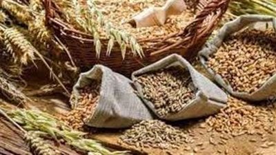 وزير الخارجية الروماني يعلن أن بلاده أخرجت 240 ألف طن من الحبوب من أوكرانيا