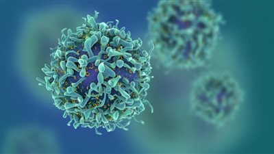 في بارقة أمل.. علماء يطورون فيروسا لقتل الخلايا السرطانية